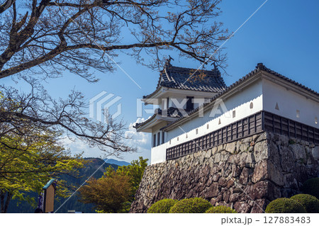 岐阜 郡上八幡城の桜ノ丸隅櫓 127883483