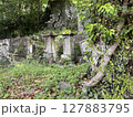 苔むした石灯籠 127883795