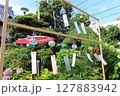 【夏の風物詩】夏の日の寺社と風鈴④ 127883942