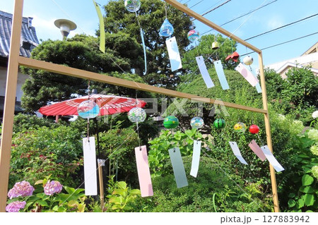 【夏の風物詩】夏の日の寺社と風鈴④ 127883942
