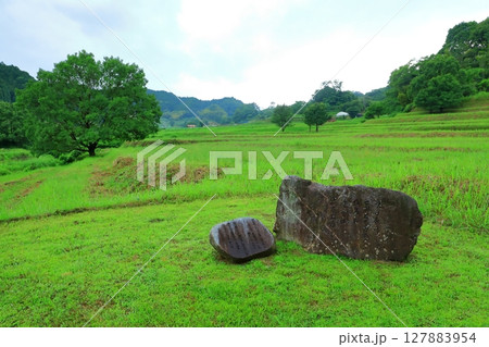 飛鳥稲淵宮殿跡 (国指定史跡) 127883954