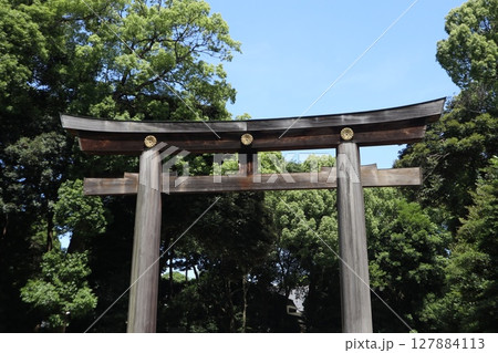明治神宮 127884113