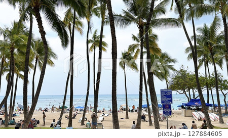 椰子の木とビーチ 127884605