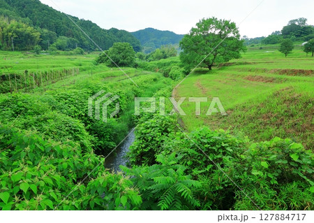 飛鳥稲淵宮殿跡 (国指定史跡) 127884717