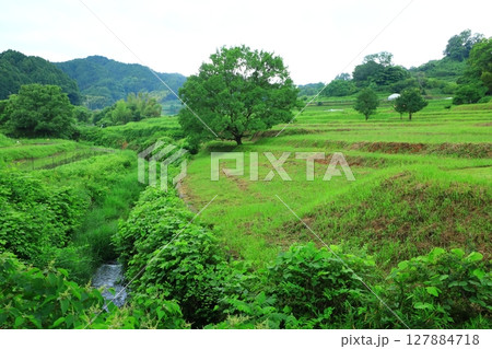 飛鳥稲淵宮殿跡 (国指定史跡) 127884718
