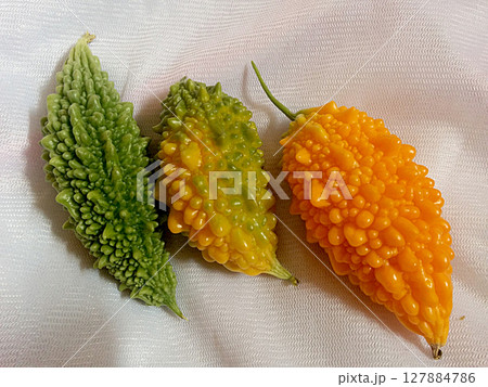Bitter melons harvested 家庭菜園で収穫したゴーヤ(ゴーヤー)の実,完熟もの Bitter melons harvested 家庭菜園で収穫したゴーヤ(ゴーヤー)の実,完熟もの 127884786