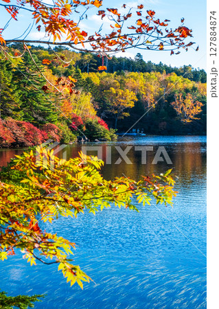 秋の白駒池 秋の白駒池 127884874