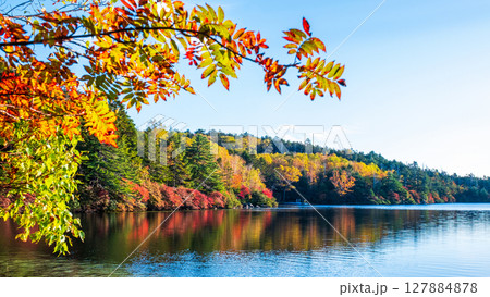 秋の白駒池 127884878