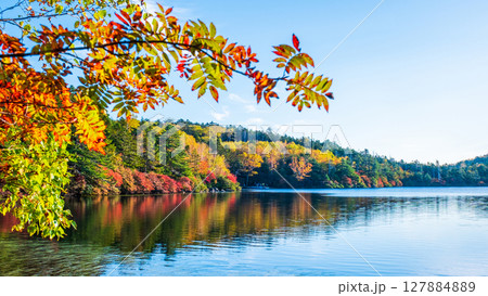 秋の白駒池 127884889