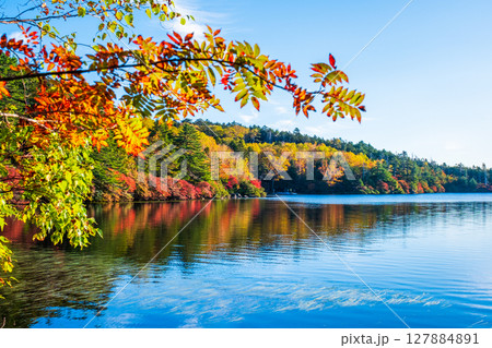 秋の白駒池 127884891