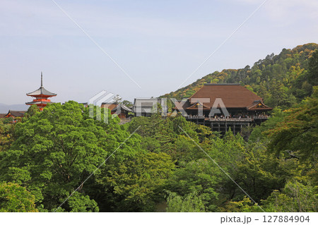 清水寺　全景 127884904