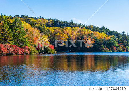 秋の白駒池 127884910