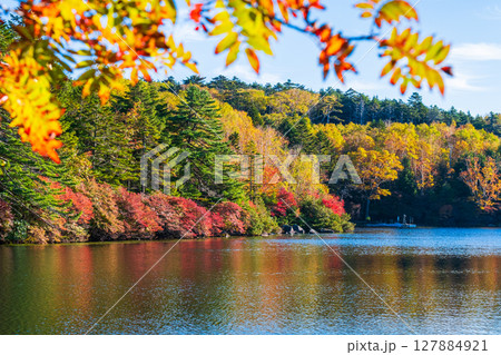 秋の白駒池 127884921