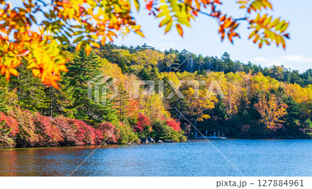 秋の白駒池 127884961