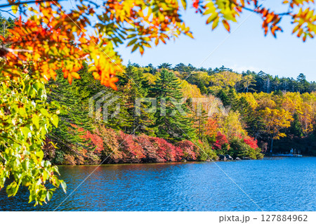 秋の白駒池 127884962