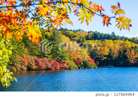 秋の白駒池 127884964