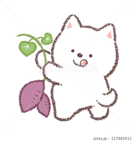芋ほりをする白柴犬 127885012