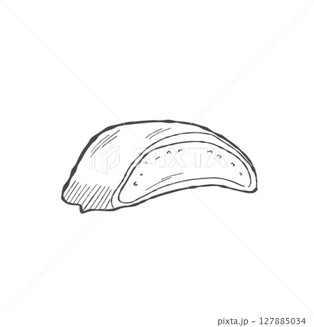 Aloe Vera Slice Cross Section Botanical Vector Illustration 127885034