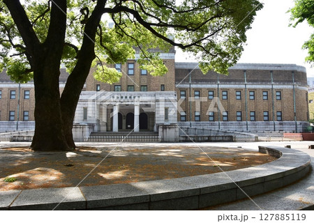 台東区 上野公園の東京国立科学博物館と新緑 台東区 上野公園の東京国立科学博物館と新緑 127885119