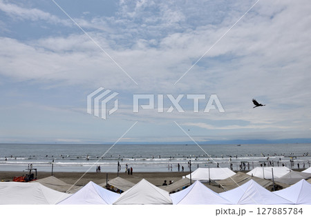 砂浜のイベント会場上空を飛び回るトンビ 砂浜のイベント会場上空を飛び回るトンビ 127885784