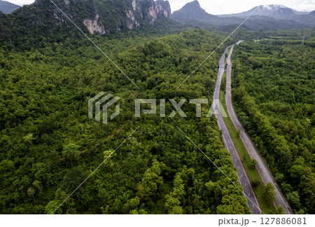 Aerial view of road in beautiful green forest at sunset in spring. Colorful landscape 127886081