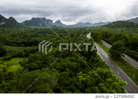 Aerial view of road in beautiful green forest at sunset in spring. Colorful landscape Aerial view of road in beautiful green forest at sunset in spring. Colorful landscape 127886082