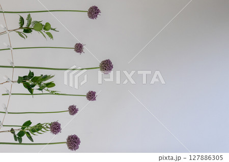 花 127886305