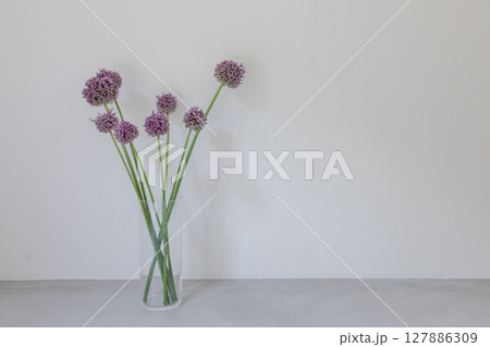 にんにくの花 にんにくの花 127886309