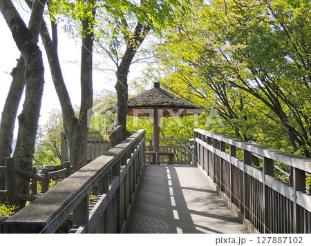 小諸城　水の手展望台 127887102