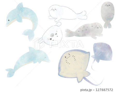 水彩風・イルカとアザラシとエイのかわいい海のいきものセット 水彩風・イルカとアザラシとエイのかわいい海のいきものセット 127887572