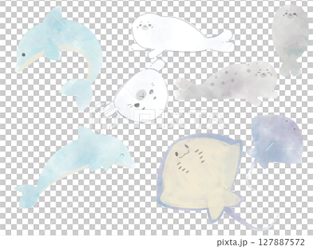 水彩風・イルカとアザラシとエイのかわいい海のいきものセット 水彩風・イルカとアザラシとエイのかわいい海のいきものセット 127887572