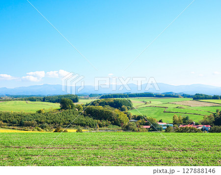 爽やかな初秋の北海道美瑛町の丘の風景 爽やかな初秋の北海道美瑛町の丘の風景 127888146