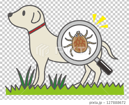 感染狗的蜱蟲 127888672