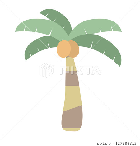 トロピカルなヤシの木（単品イラスト） 127888813