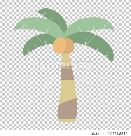 トロピカルなヤシの木（単品イラスト） 127888813