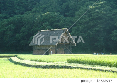 農村 農村 127889471