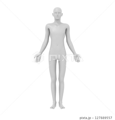 人のモデル, 全身, 人体 127889557