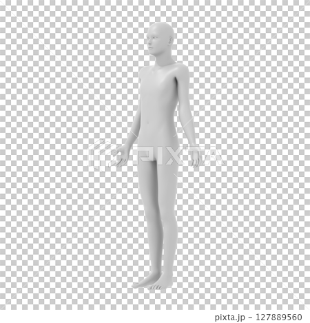 人のモデル, 全身, 人体 127889560