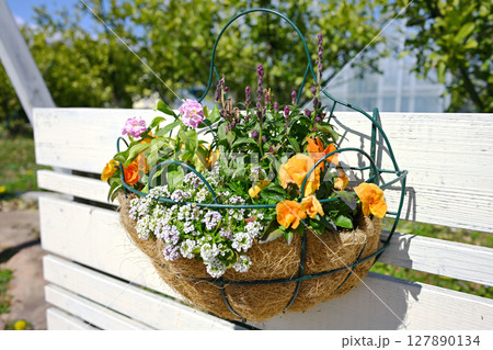 東谷山フルーツパーク　鉢植え 127890134