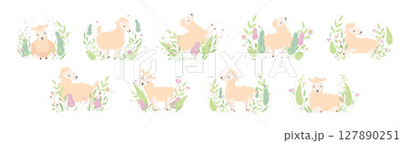 Cute Sheep or Lamb in Foliage or Grass Vector Set 127890251