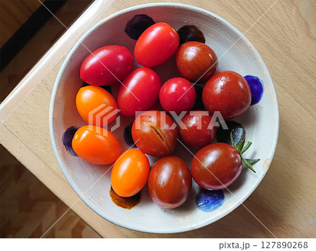 Various assorted tomatos 家庭菜園で収穫した様々な種類のトマトの実，完熟もの 127890268