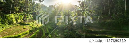Aerial drone view of Tegallalang Rice fields terraces in Ubud, Bali, Indonesia 127890380