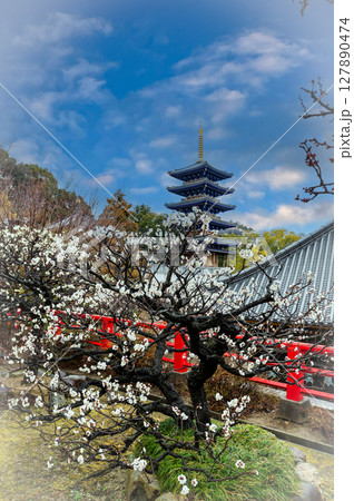 白梅満開と五重塔、宝塚中山寺、3月11日、日本 127890474