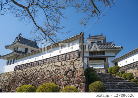 岐阜 郡上八幡城の風景 127890526