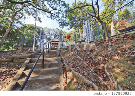 福岡県直方市の阿高神社参道と御神木のクスノキ 福岡県直方市の阿高神社参道と御神木のクスノキ 127890923