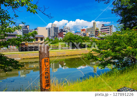 【京都風景】鴨川と先斗町周辺の穏やかな情景 【京都風景】鴨川と先斗町周辺の穏やかな情景 127891226
