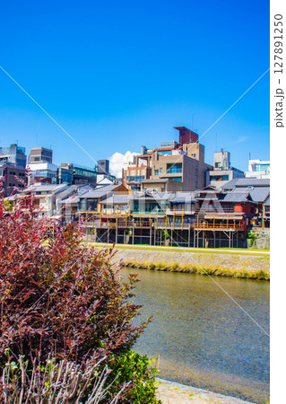 【京都風景】鴨川と先斗町周辺の穏やかな情景 127891250
