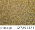 ナチュラルな砂利の背景テクスチャ（イエロー系） 127891323