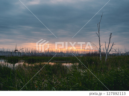 Sunset over wetland with silhouetted trees and reflecting water in peaceful natural setting Sunset over wetland with silhouetted trees and reflecting water in peaceful natural setting 127892113
