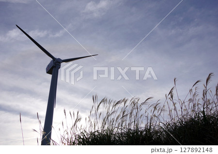 風力発電とススキ 127892148